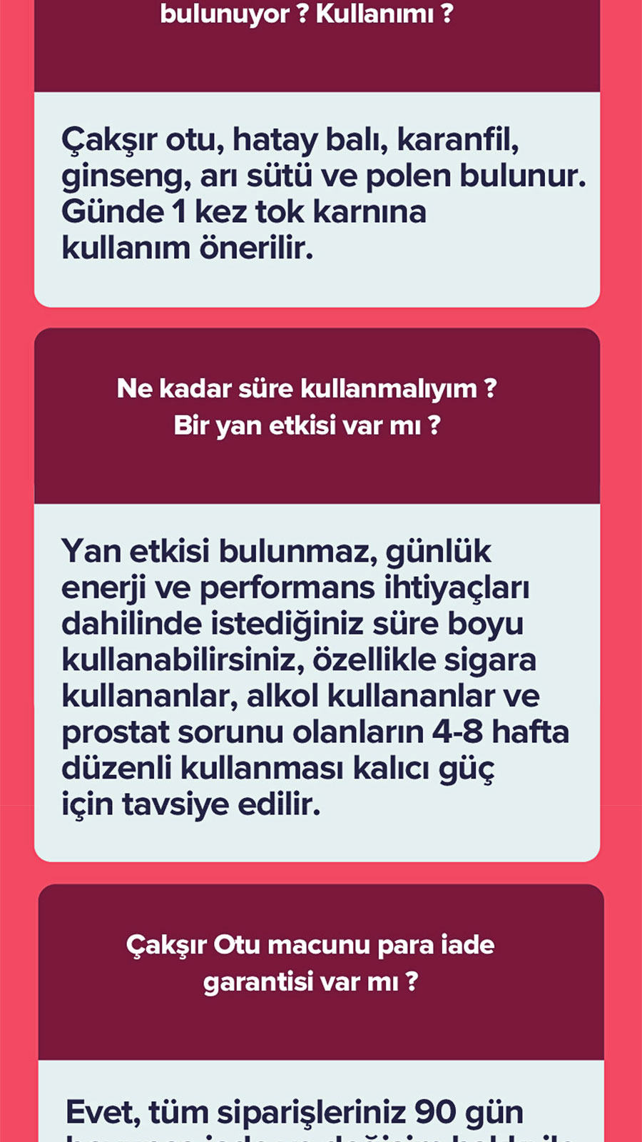 Çakşır Macunu Şaset 12'li - TR